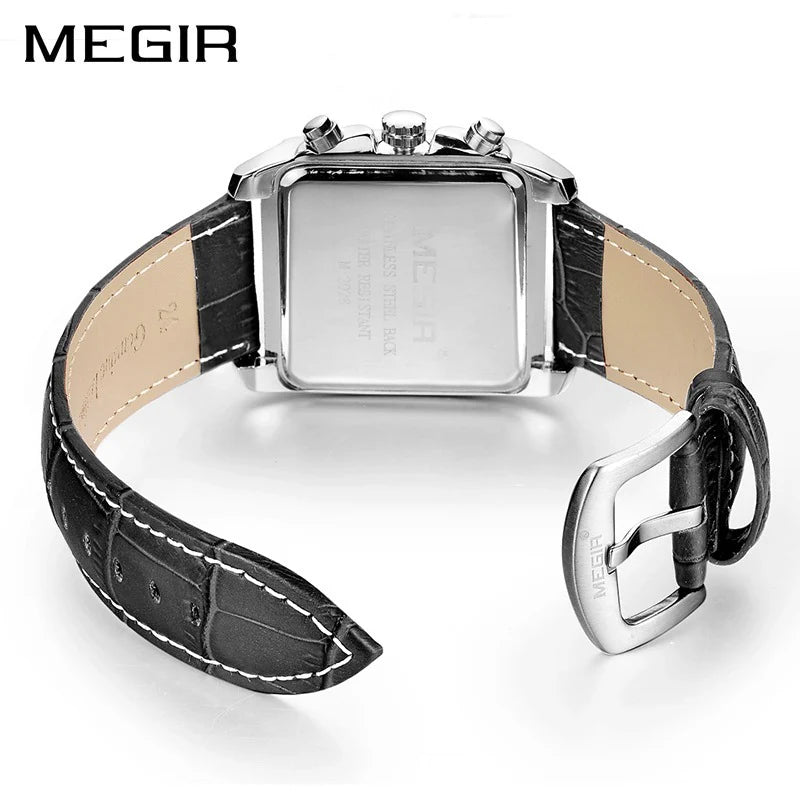 MEGIR MG02028.3